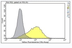 ADAM 12, Mouse anti-Human, Clone: 8F8, Millipore Sigma:Antibodies:Primary